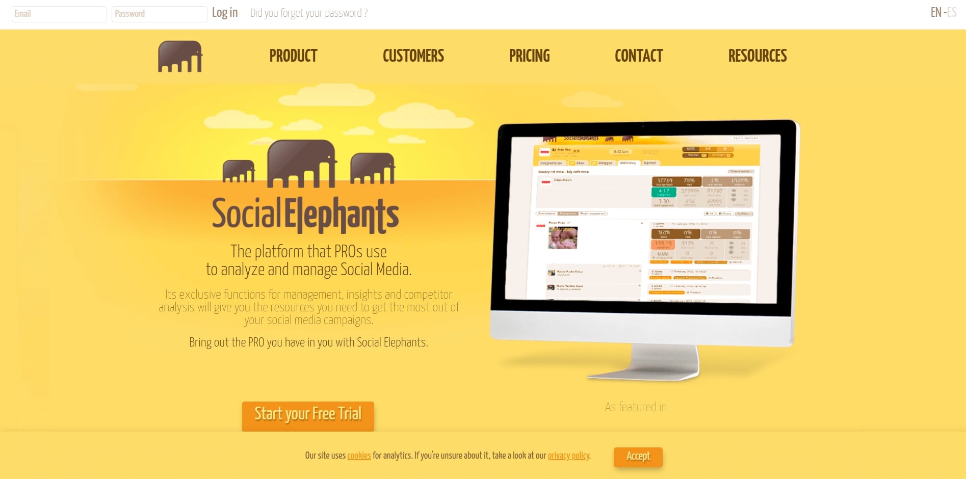 elefantes sociais