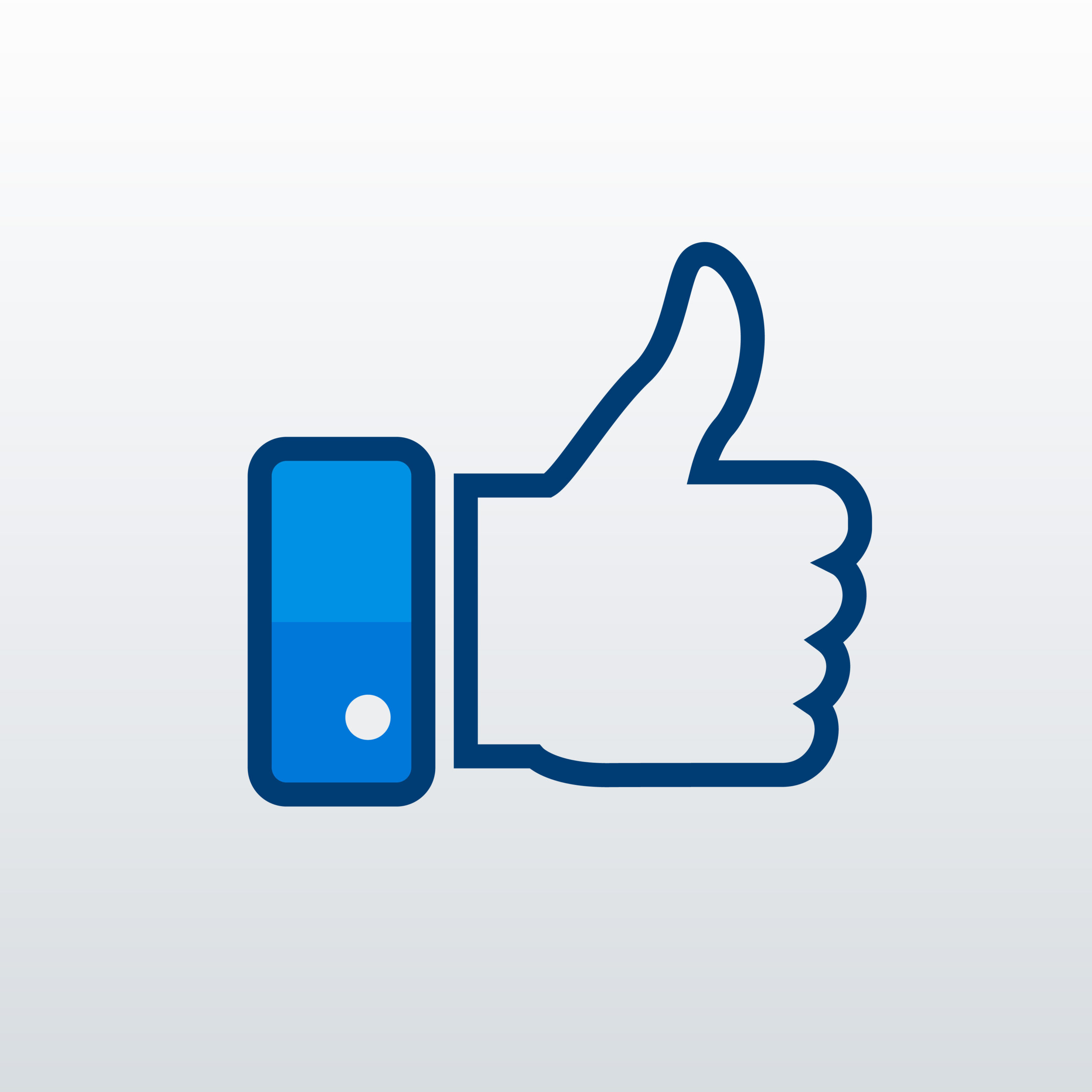 Facebook Like Button 