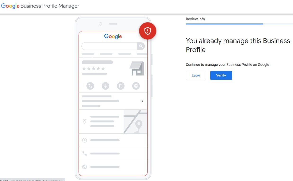 google business profile manager review info